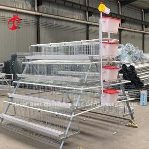 Quality Poultry Farm Battery Cage Price In Nigeria 4 Tier Layer Cage Iris wholesale