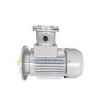 ATEX Explosion Proof Motor 5.5kw 380V 660V Exd II Bt4 GB Ybx4 Electric Three