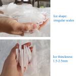 Industrial Fresh Water Flake Ice Maker Machine 5 Tons Direct Cooling