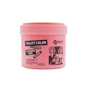 Quality Convenient Professional Permanent Hair Color Powder 500G Ammonia Free Salon Use wholesale