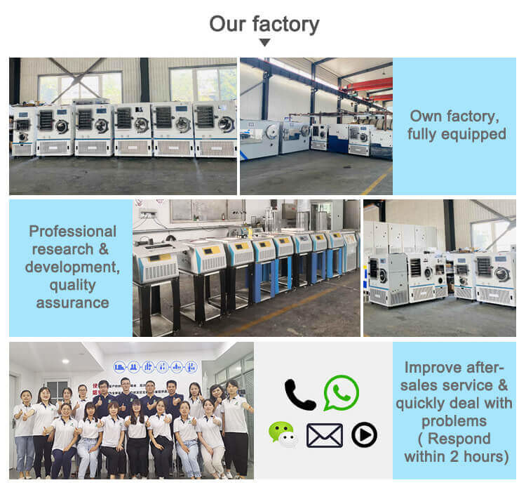 TOPT-10/12/18 Series Lab Freeze Dryer High Temperature and Pressure Control