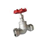 Standard Industry Stainless Steel Water Globe Valve J11W-16P Straight Through