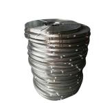 Cold Rolled SUS 304 309s 316 Stainless Steel Strip Belt 310S 316L Stainless