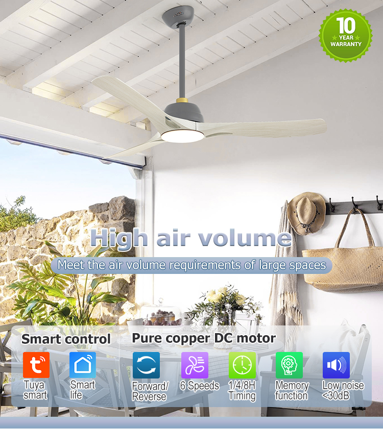 Pure Copper Motor LED Ceiling Fan with Remote Control and App Control Modern Design