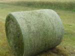 HDPE Well-Knitted White Bale Wrap Net