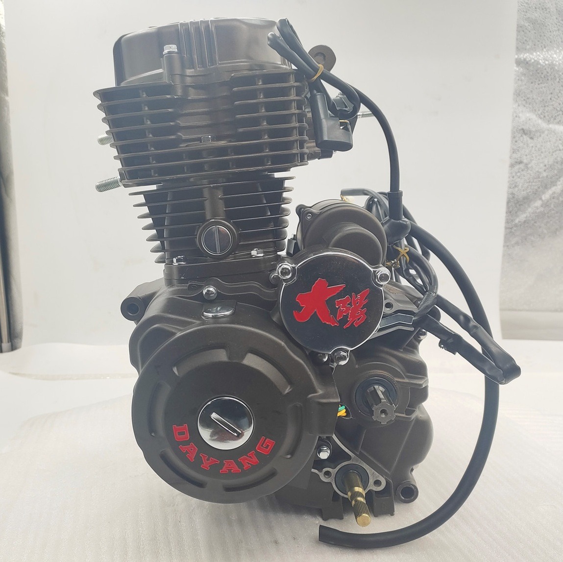 Steel Air Cooling CG200 DAYANG Motorcycle Tricycle Engine Assembly 198ml Electric/kick Method Origin