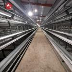 Poultry Farm Broiler Chicken Cage Galvanized Steel Automatic H Type Q235A