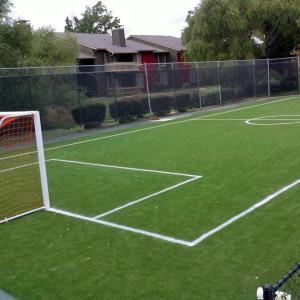 Quality Customized Football Synthetic Grass 12000dtex 20stitches Every 10cm wholesale