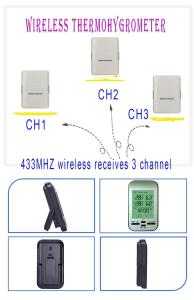 Quality WT0228 Digital Weather Station And Wireless Wall Mounted Room Thermometer Clock wholesale