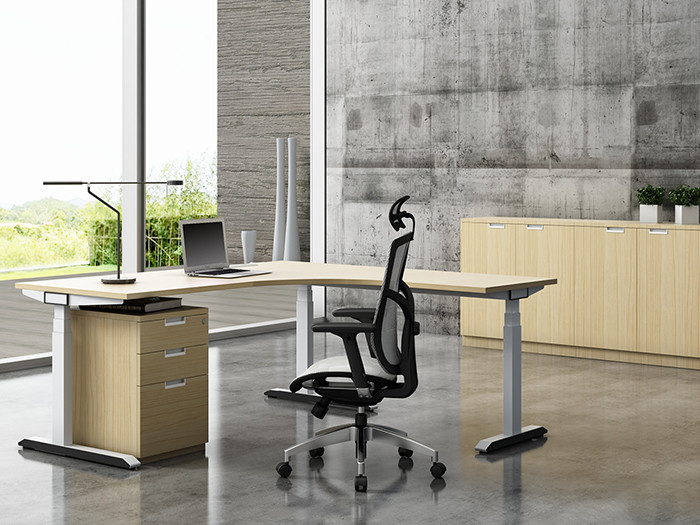 Motor Driven Adjustable Office Table Workstation OEM