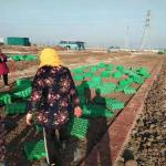 HDPE Grass Paver Grid for Parking Lot and Driveway Onsite Inspection After-sale