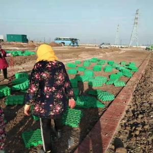 Quality Tenglu HDPE Plastic Grass Paver Grid for Parking Lot and Driveway Free Spare Parts wholesale