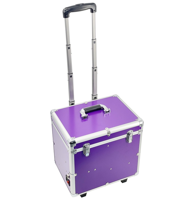 Vet Use Portable Dental Unit Luggage Style Pets Dental Treatment Machine With Air Compressor