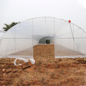 Quality Anti Aging Film Micron Anti Uv Plastic Greenhouse Agriculture Vegetables Planting wholesale