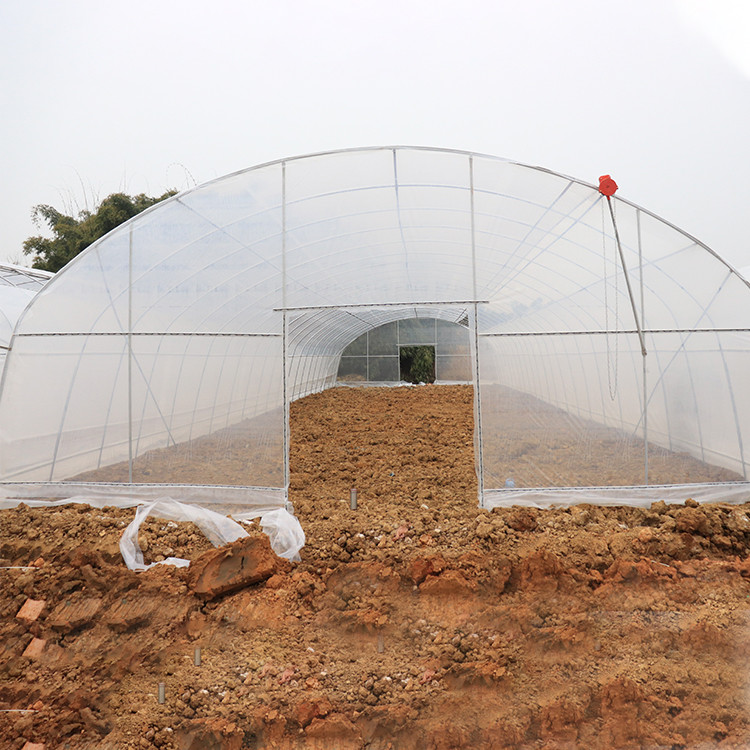 Vegetable Single Span Greenhouse Polycarbonate Sheet Covering