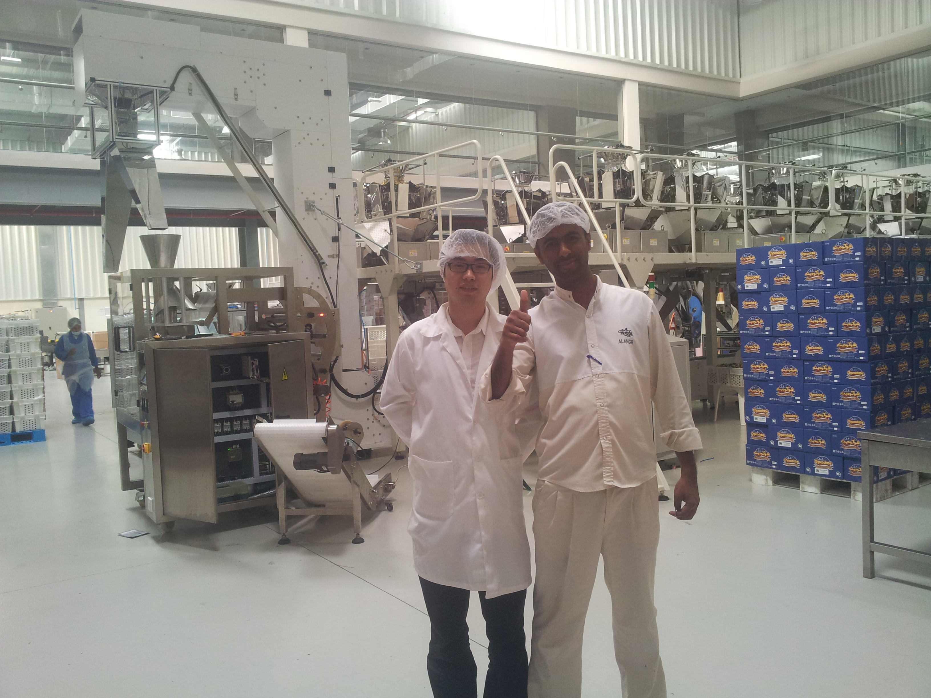 Puffing Food Spices Chilli 4KW Granular Packaging Machine