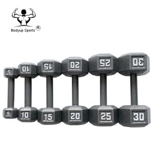 Quality Durable Weights And Dumbbells Cast Iron Hex Gym Fitness Dumbbells Hammertone Finish wholesale