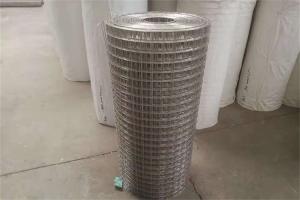 Quality 1/2 Inch X1/2 Inch 0.6mm Stainless Steel Welded Wire Mesh wholesale