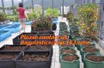 Horticulture, Planter, Grow Bag, garden bags, grow bags, hanging plant bags,