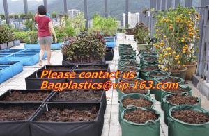 vegetables, fruits, seeds, bedding plants, tomatoes, peppers, cucumbers, tree starters