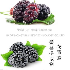 Quality 100% pure natural Mulberry Fruit Extract/ Mulberry Extract powder wholesale
