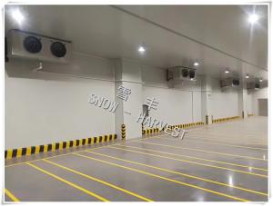 Quality Large Capacity Logistics Cold Storage Energy Saving Precision Temperature wholesale