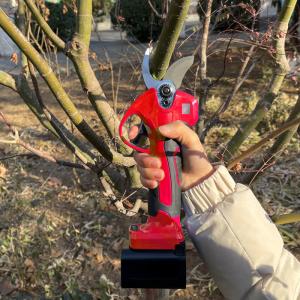 Quality Long Reach Telescopic Pole Pruner Rechargeable Garden Tree Trimming Tools ODM OEM wholesale