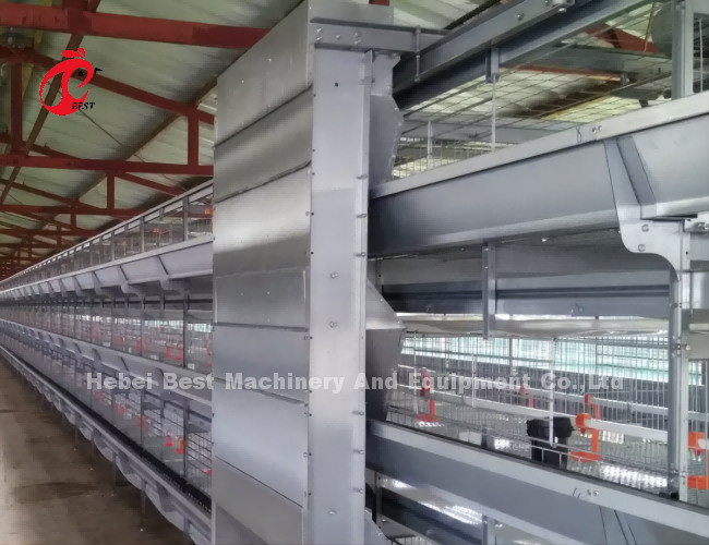 Automatic Layer Poultry Cage Chicken Farming Prefab House Complete Solutions Rose