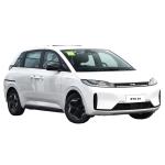 BYD D1 Electric MPV Cars Vehicles Fast Charging New Energy EV