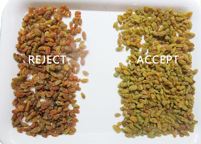 Raisin Electronic Grain Color Sorter With 5400 Camera Pixel CE Certificate
