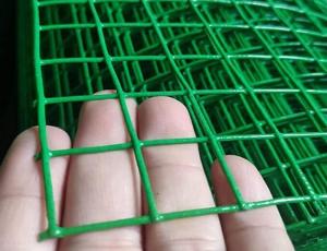 Quality 25mm Pvc Welded Wire Mesh Protection Of Plants Gardens Pets Vegetables wholesale