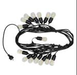 Controller Included 48 Foot Waterproof Outdoor LED String Lights