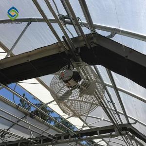 Quality Curtain Movable Automated Blackout Greenhouse For Medical Plant wholesale