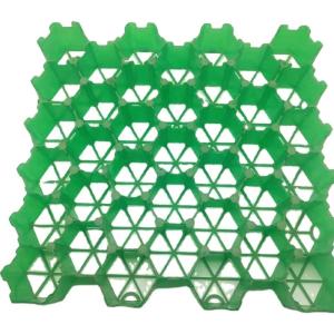Quality Height Green HDPE Plastic Planting Grass Paver Grid with CE/ISO9001/ISO14001 Certificate wholesale