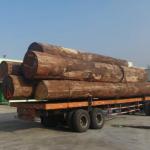 Reconstituted Decorative Natural Ash Wood Veneer WA-X806 Fineline Grain
