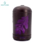 Hotel 24V 100ML Pure Ultrasonic Cool Mist Humidifier