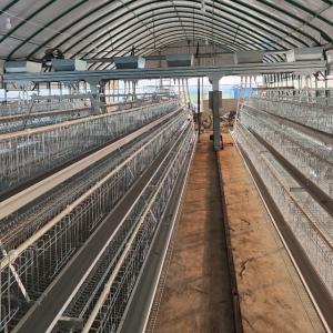 Quality Hot Galvanized Egg Laying Cage Poultry Farming Equipment Manual Chicken Layer Farming Cage wholesale