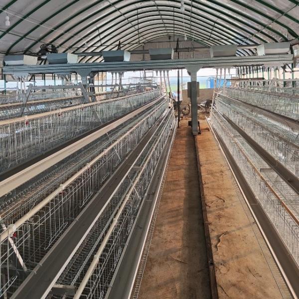 Hot Galvanized Egg Laying Cage Poultry Farming Equipment Manual Chicken Layer