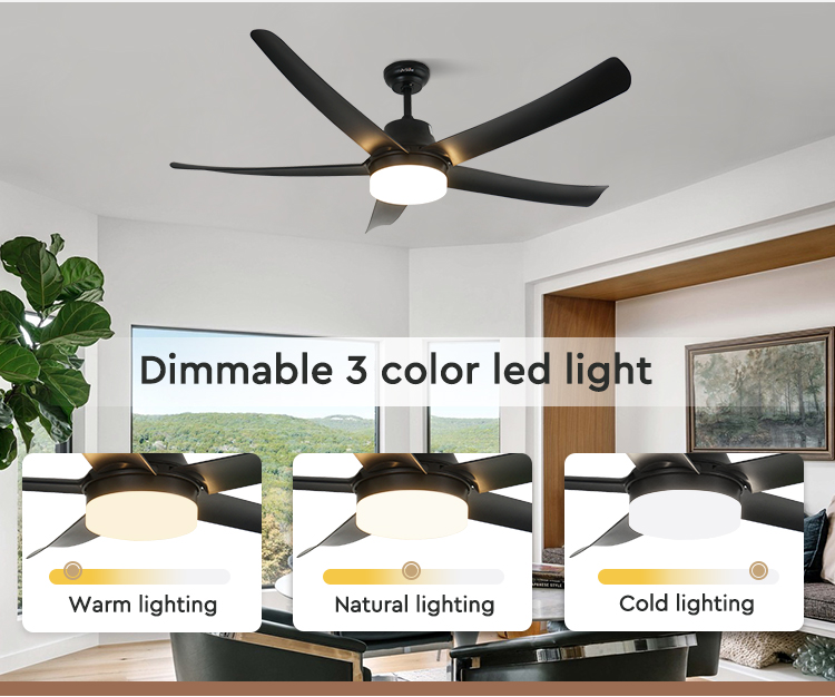 ceiling fan