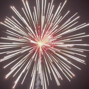 Quality Chinese Professional Fireworks For New Year Celebration 6 Inch Ball Display Shells wholesale