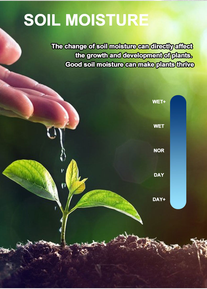 Indoor and Outdoor Plant Care Made Easy with our Plant Water Monitor Get Accurate Readings