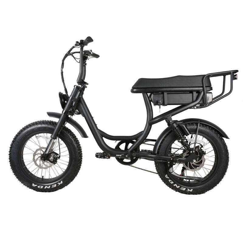 Custom 2 Seat Electric Fat Tire Bike with 15AH Battery Capacity and 20 Inch in 2023