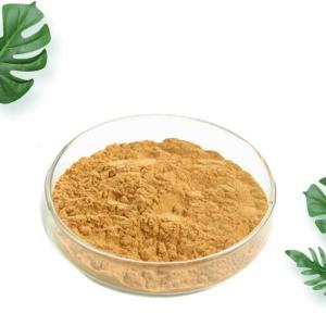 Quality China 99% Stone pine spore Lycoris powder Radiata Extract Galanthamine Hydrobromide cheap wholesale