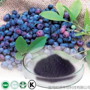 Quality Best quality purity fresh bilberry extract 5% 10% wholesale
