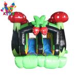Commercial Inflatable Bouncer Slider Combo Adult Cartoon Princess Bounce House