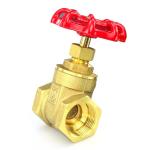 Gasoline Metal Gate Valve Oil And Gas 1 Inch 2 Inch 3 Inch 4 Inch