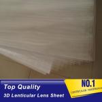 PLASTIC LENTICULAR 70 LPI 3d lenticular lens best 3d sheet PET lenticular