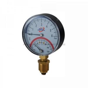 Quality TG-043 Temperature pressure gauge wholesale