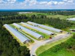 Galvanized Prefabricated Commercial Chicken Houses Fireproof Steel Warehouse