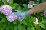 Antibacterial 2.0g Disposable TPE Gloves For Food Industry